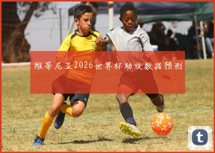 维蒂尼亚2026世界杯助攻数据预测