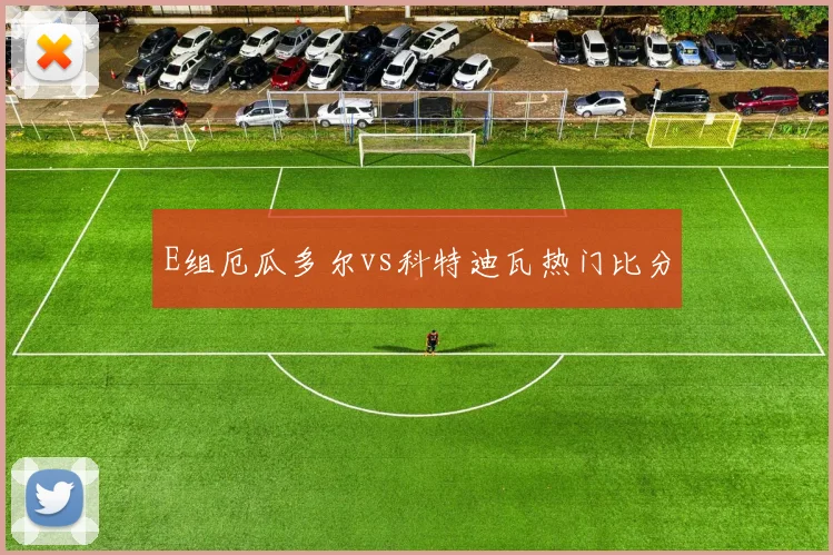 E组厄瓜多尔vs科特迪瓦热门比分